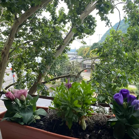 Apartament Major *